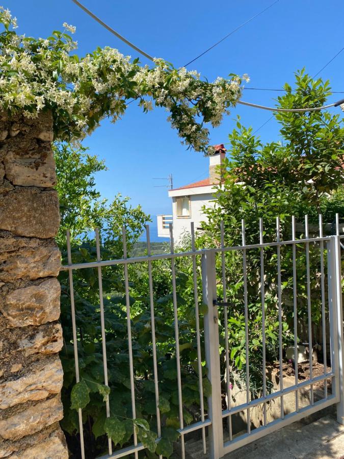 Vila Aleks Vuno Exteriér fotografie