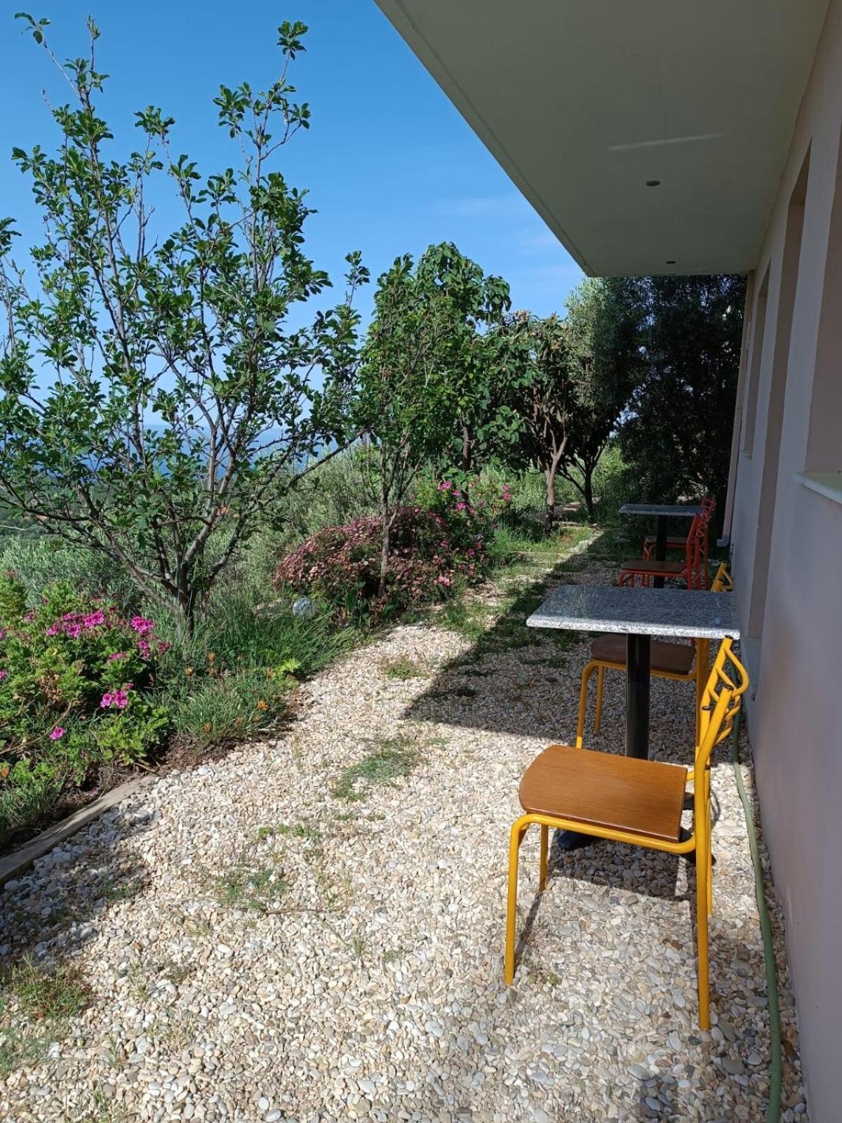 Vila Aleks Vuno Exteriér fotografie