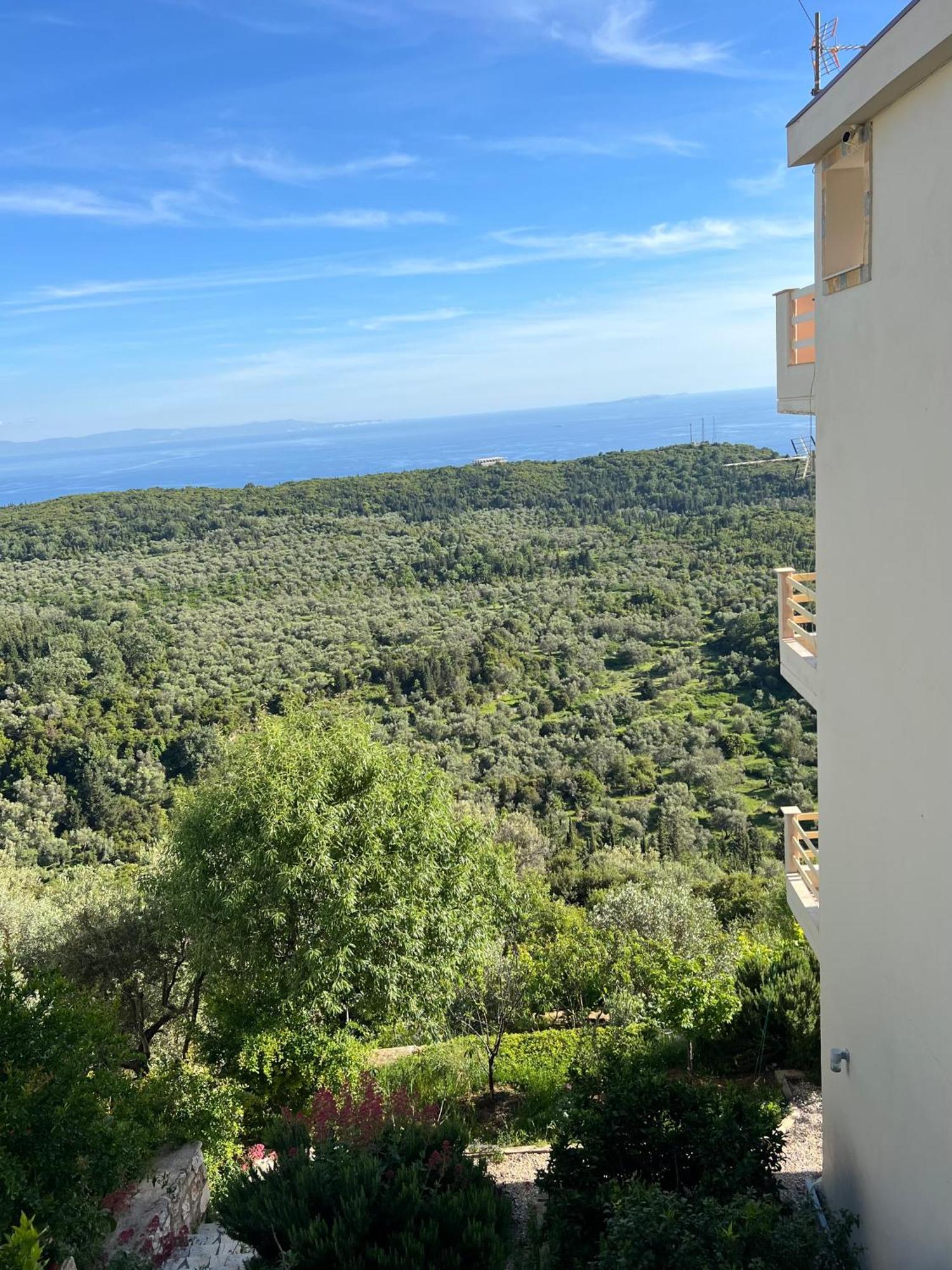Vila Aleks Vuno Exteriér fotografie