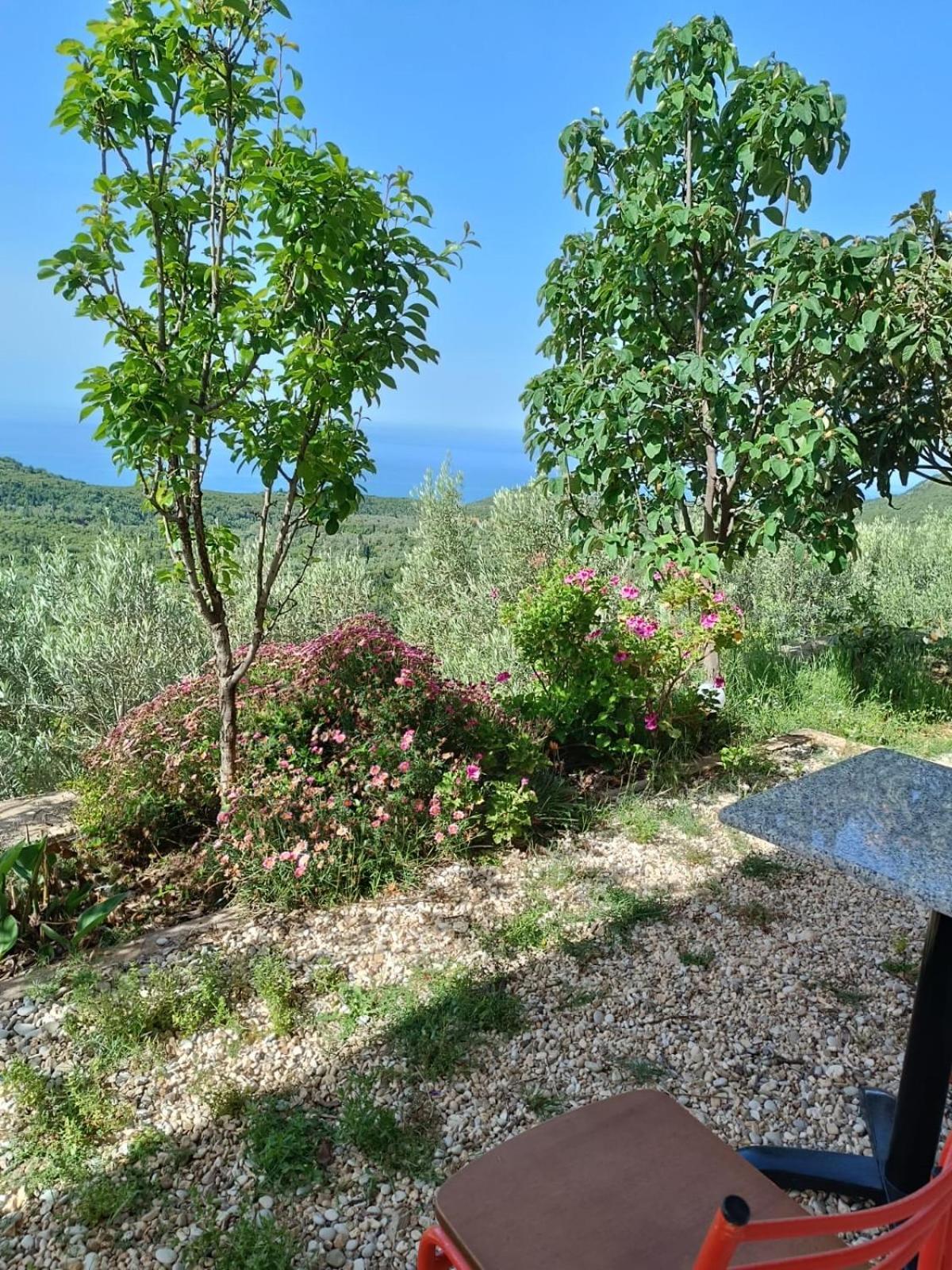 Vila Aleks Vuno Exteriér fotografie